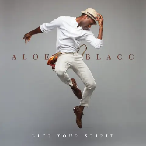 Aloe Blacc — Wake Me Up